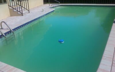 How to Fix Cloudy Pool Water